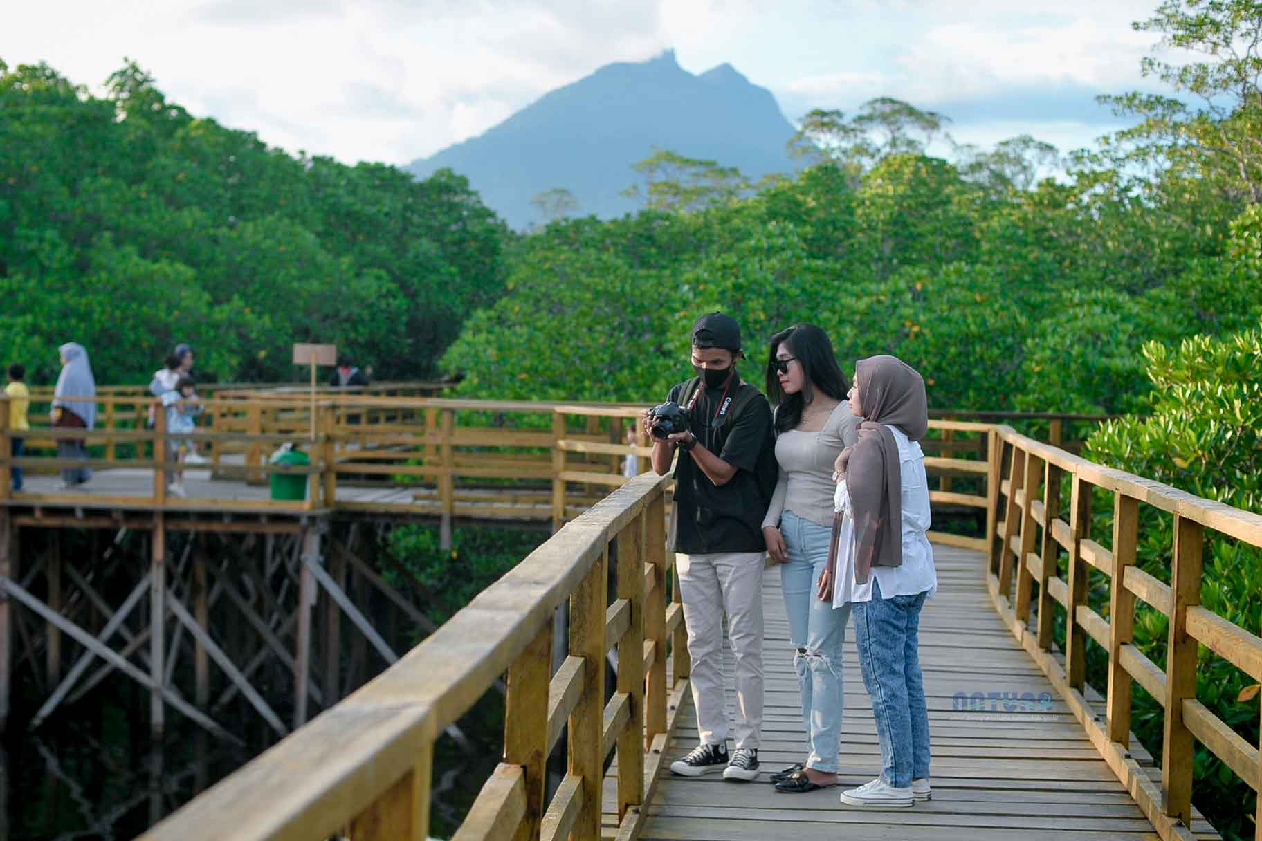 mangroves-guardians-of-sovereignty-and-environmental-balance-in-natuna
